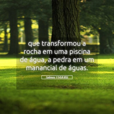 Picture 05 - Salmos 114:8 BSL - que transformou a rocha em uma piscina de água, - Bible Verse Picture