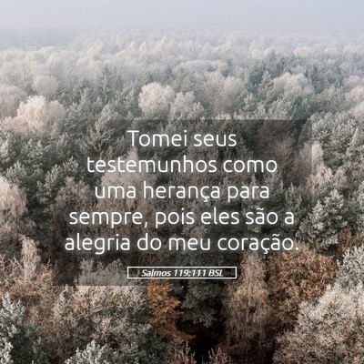 Picture 05 - Salmos 119:111 BSL - Tomei seus testemunhos como uma herança para - Bible Verse Picture