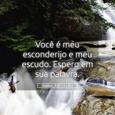Picture 05 - Salmos 119:114 BSL - Você é meu esconderijo e meu escudo. Espero em - Bible Verse Picture