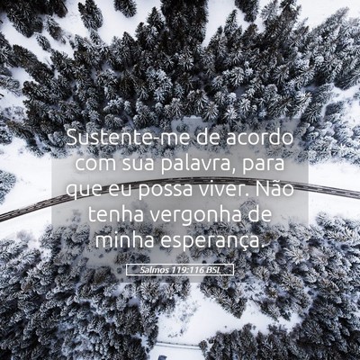 Picture 05 - Salmos 119:116 BSL - Sustente-me de acordo com sua palavra, para que - Bible Verse Picture