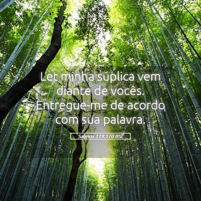 Picture 05 - Salmos 119:170 BSL - Let minha súplica vem diante de vocês. - Bible Verse Picture