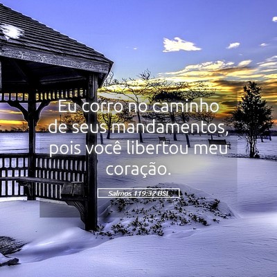 Picture 05 - Salmos 119:32 BSL - Eu corro no caminho de seus mandamentos, pois - Bible Verse Picture