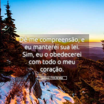 Picture 05 - Salmos 119:34 BSL - Dê-me compreensão, e eu manterei sua lei. Sim, - Bible Verse Picture