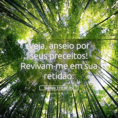 Picture 05 - Salmos 119:40 BSL - Veja, anseio por seus preceitos! Revivam-me em - Bible Verse Picture