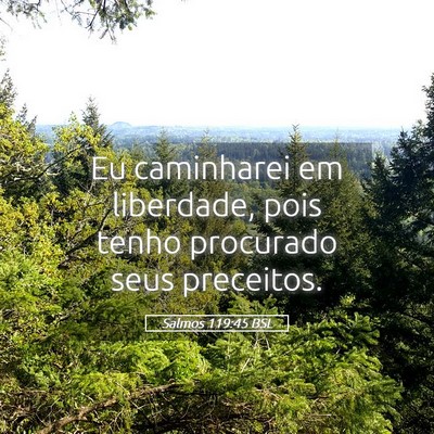 Picture 05 - Salmos 119:45 BSL - Eu caminharei em liberdade, pois tenho procurado - Bible Verse Picture