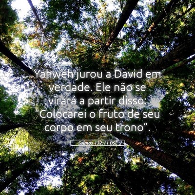 Picture 05 - Salmos 132:11 BSL - Yahweh jurou a David em verdade. Ele não se - Bible Verse Picture