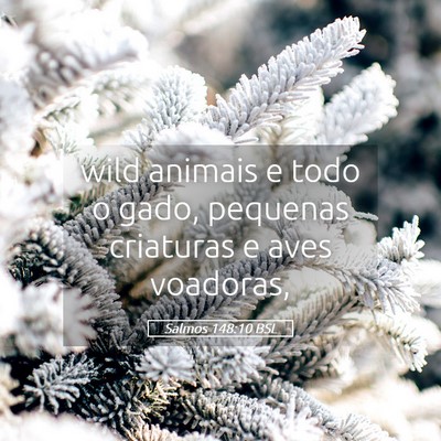 Picture 05 - Salmos 148:10 BSL - wild animais e todo o gado, pequenas criaturas e - Bible Verse Picture