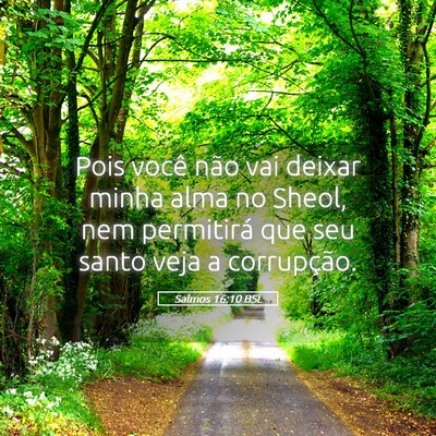 Picture 05 - Salmos 16:10 BSL - Pois você não vai deixar minha alma no Sheol, - Bible Verse Picture