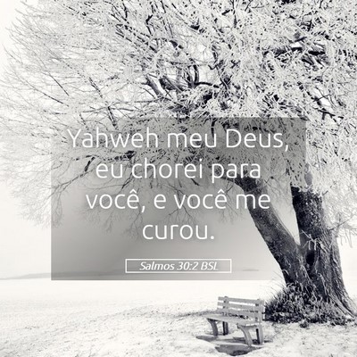 Picture 05 - Salmos 30:2 BSL - Yahweh meu Deus, eu chorei para você, e você me - Bible Verse Picture