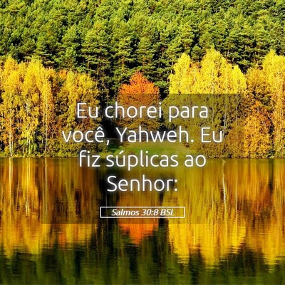 Picture 05 - Salmos 30:8 BSL - Eu chorei para você, Yahweh. Eu fiz súplicas ao - Bible Verse Picture