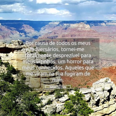 Picture 05 - Salmos 31:11 BSL - Por causa de todos os meus adversários, - Bible Verse Picture