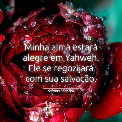 Picture 05 - Salmos 35:9 BSL - Minha alma estará alegre em Yahweh. Ele se - Bible Verse Picture