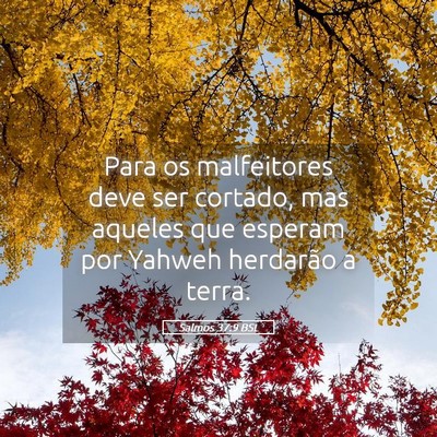 Picture 05 - Salmos 37:9 BSL - Para os malfeitores deve ser cortado, mas aqueles - Bible Verse Picture