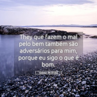 Picture 05 - Salmos 38:20 BSL - They que fazem o mal pelo bem também são - Bible Verse Picture