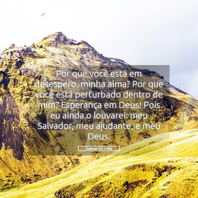 Picture 05 - Salmos 43:5 BSL - Por que você está em desespero, minha alma? Por - Bible Verse Picture