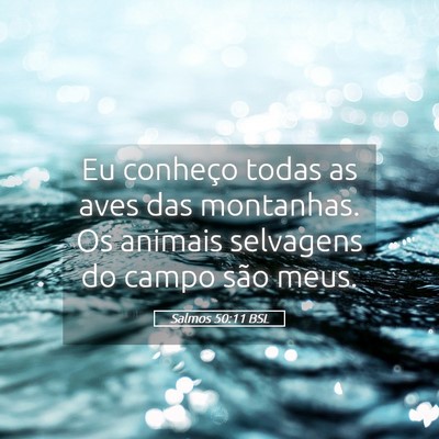 Picture 05 - Salmos 50:11 BSL - Eu conheço todas as aves das montanhas. Os - Bible Verse Picture