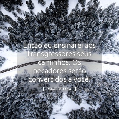 Picture 05 - Salmos 51:13 BSL - Então eu ensinarei aos transgressores seus - Bible Verse Picture