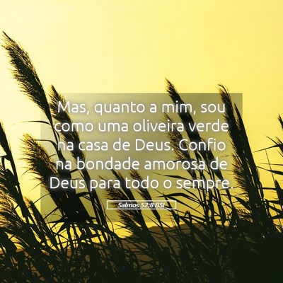 Picture 05 - Salmos 52:8 BSL - Mas, quanto a mim, sou como uma oliveira verde na - Bible Verse Picture