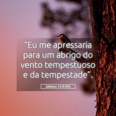 Picture 05 - Salmos 55:8 BSL - “Eu me apressaria para um abrigo do vento - Bible Verse Picture