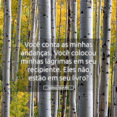 Picture 05 - Salmos 56:8 BSL - Você conta as minhas andanças. Você colocou - Bible Verse Picture