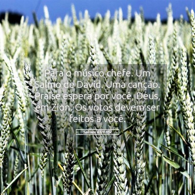 Picture 05 - Salmos 65:1 BSL - Para o músico chefe. Um Salmo de David. Uma - Bible Verse Picture