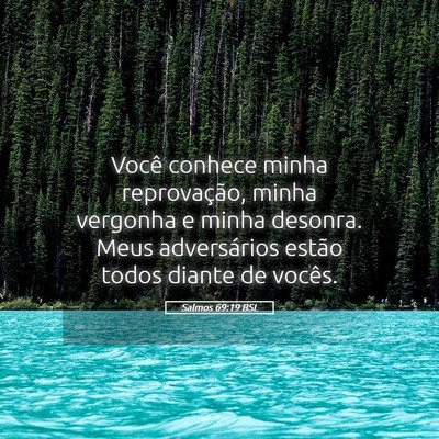 Picture 05 - Salmos 69:19 BSL - Você conhece minha reprovação, minha vergonha - Bible Verse Picture