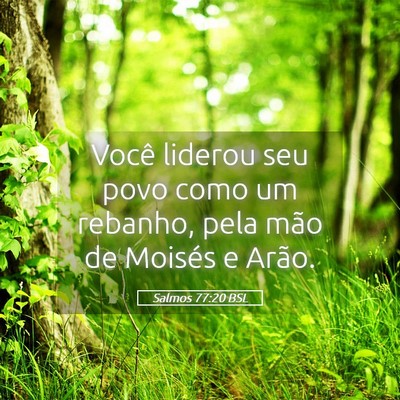 Picture 05 - Salmos 77:20 BSL - Você liderou seu povo como um rebanho, pela mão - Bible Verse Picture