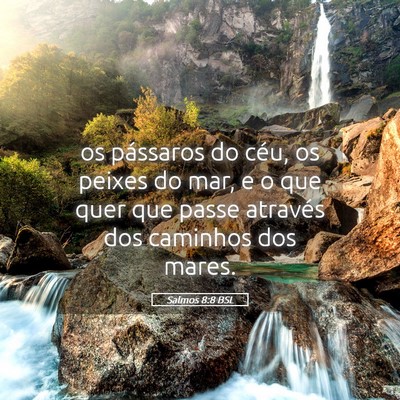 Picture 05 - Salmos 8:8 BSL - os pássaros do céu, os peixes do mar, e o que - Bible Verse Picture