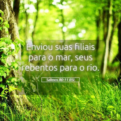 Picture 05 - Salmos 80:11 BSL - Enviou suas filiais para o mar, seus rebentos - Bible Verse Picture