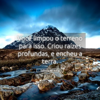 Picture 05 - Salmos 80:9 BSL - Você limpou o terreno para isso. Criou raízes - Bible Verse Picture