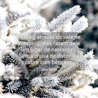 Picture 05 - Salmos 84:6 BSL - Passing através do vale de Weeping, eles fazem - Bible Verse Picture
