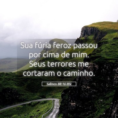 Picture 05 - Salmos 88:16 BSL - Sua fúria feroz passou por cima de mim. Seus - Bible Verse Picture