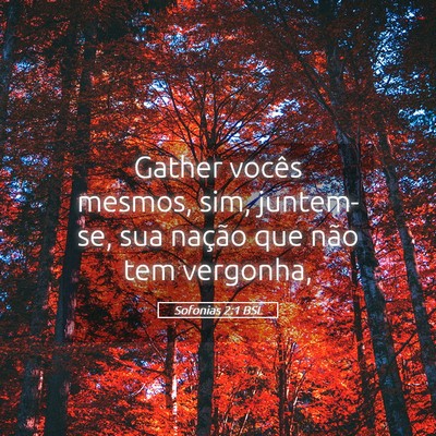 Picture 05 - Sofonias 2:1 BSL - Gather vocês mesmos, sim, juntem-se, sua nação - Bible Verse Picture