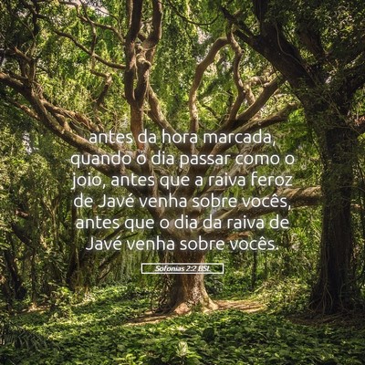 Picture 05 - Sofonias 2:2 BSL - antes da hora marcada, quando o dia passar como o - Bible Verse Picture