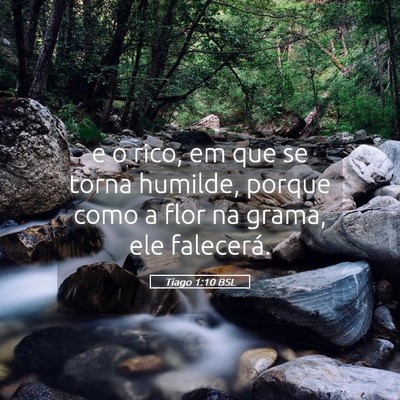 Picture 05 - Tiago 1:10 BSL - e o rico, em que se torna humilde, porque como a - Bible Verse Picture
