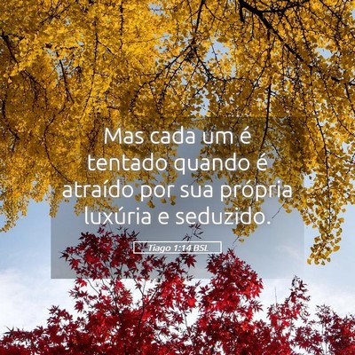 Picture 05 - Tiago 1:14 BSL - Mas cada um é tentado quando é atraído por sua - Bible Verse Picture