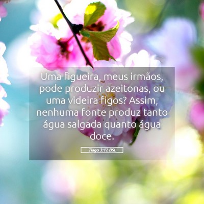 Picture 05 - Tiago 3:12 BSL - Uma figueira, meus irmãos, pode produzir - Bible Verse Picture