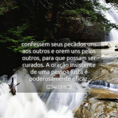 Picture 05 - Tiago 5:16 BSL - confessem seus pecados uns aos outros e orem uns - Bible Verse Picture
