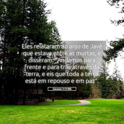 Picture 05 - Zacarias 1:11 BSL - Eles relataram ao anjo de Javé que estava entre - Bible Verse Picture