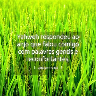 Picture 05 - Zacarias 1:13 BSL - Yahweh respondeu ao anjo que falou comigo com - Bible Verse Picture