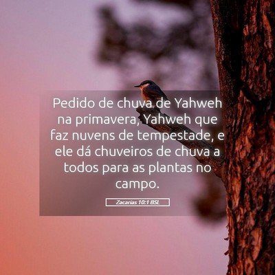 Picture 05 - Zacarias 10:1 BSL - Pedido de chuva de Yahweh na primavera, Yahweh - Bible Verse Picture