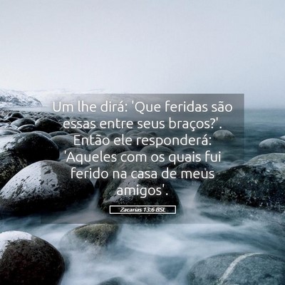 Picture 05 - Zacarias 13:6 BSL - Um lhe dirá: 'Que feridas são essas entre seus - Bible Verse Picture