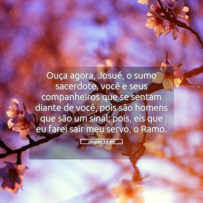 Picture 05 - Zacarias 3:8 BSL - Ouça agora, Josué, o sumo sacerdote, você e - Bible Verse Picture