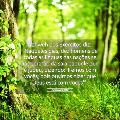 Picture 05 - Zacarias 8:23 BSL - Yahweh dos Exércitos diz: “Naqueles dias, dez - Bible Verse Picture