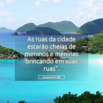 Picture 05 - Zacarias 8:5 BSL - As ruas da cidade estarão cheias de meninos e - Bible Verse Picture