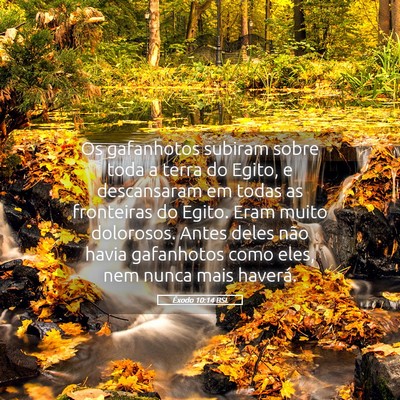 Picture 05 - Êxodo 10:14 BSL - Os gafanhotos subiram sobre toda a terra do - Bible Verse Picture