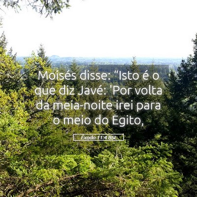 Picture 05 - Êxodo 11:4 BSL - Moisés disse: “Isto é o que diz Javé: 'Por - Bible Verse Picture