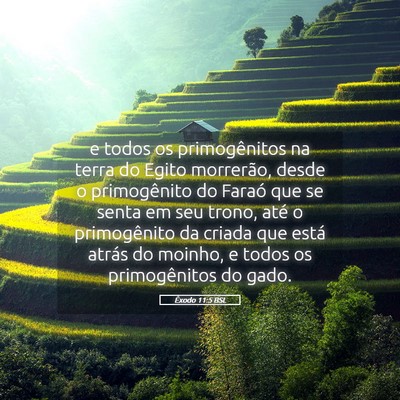Picture 05 - Êxodo 11:5 BSL - e todos os primogênitos na terra do Egito - Bible Verse Picture