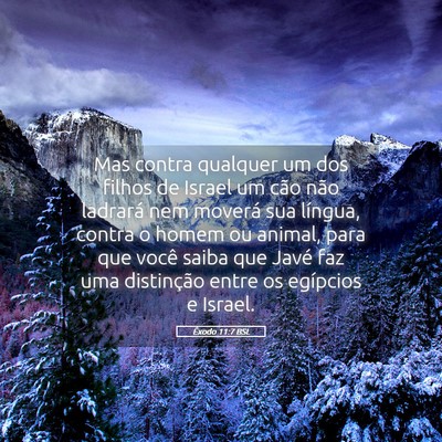 Picture 05 - Êxodo 11:7 BSL - Mas contra qualquer um dos filhos de Israel um - Bible Verse Picture