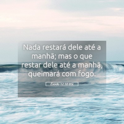 Picture 05 - Êxodo 12:10 BSL - Nada restará dele até a manhã; mas o que - Bible Verse Picture